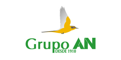 Grupo-An-logo