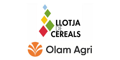 llotja-de-cereals